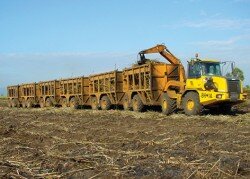 Land Train